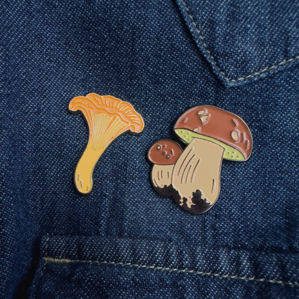 bundle porcini-chanterelle pins